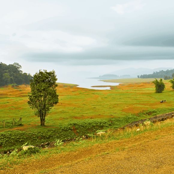 dandeli back water near [dandeli jungle inn]