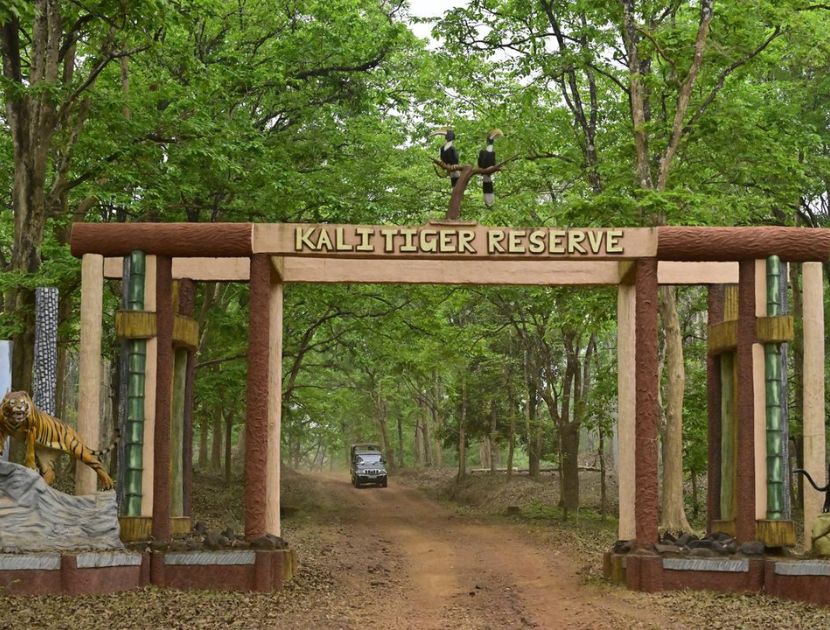 dandeli jungle safari booking at [dandeli jungle inn]